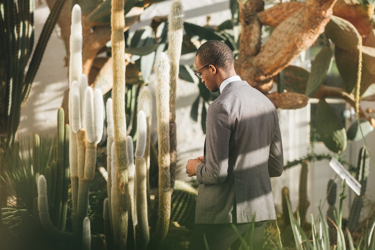 man walking beside cactus plant