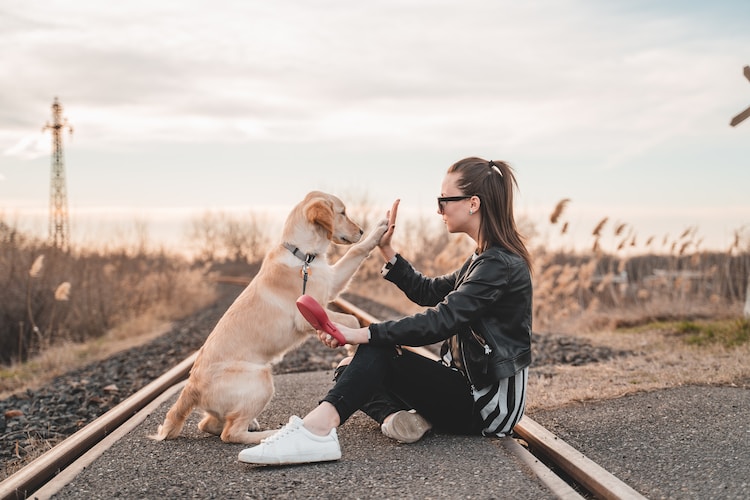 woman sitting and playing with dog outdoors